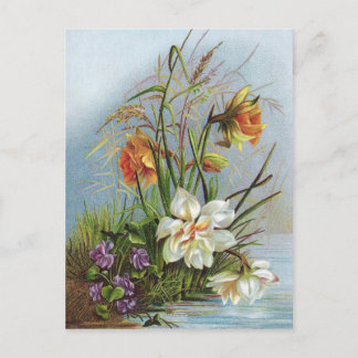 Carte Postale Double Narcisse blanc et or par un étang