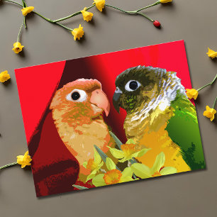 Carte Postale Douces Conures à joue verte Perruches en amour Per