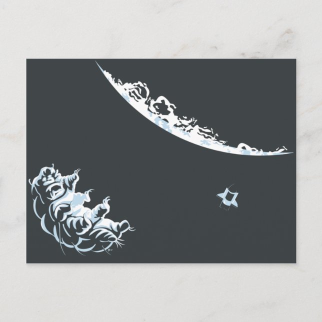 Carte postale d'ours à eau (horizontale) (Devant)