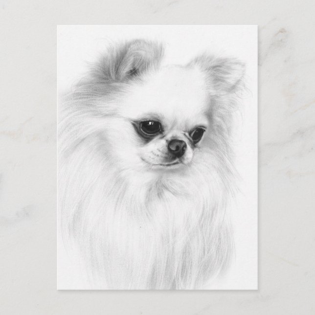 Carte Postale Doux Chihuahua Peint à la main (Devant)