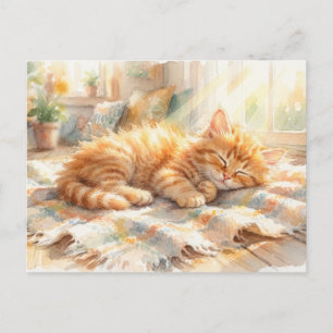 Carte Postale Doux petit chaton qui prend un bain de soleil