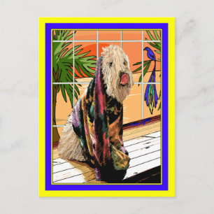 Carte postale : Doux revêtu à roux au Spa