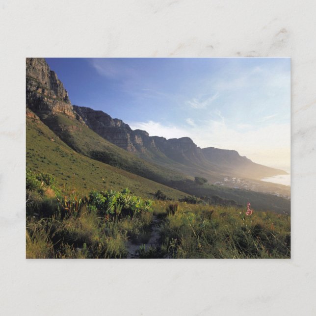 Carte Postale Douze Apôtres, Le Cap, Cap-Occidental (Devant)