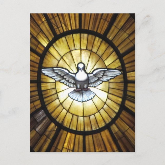 Carte Postale Dove (Devant)