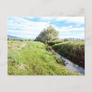 Carte postale Down By the Creek