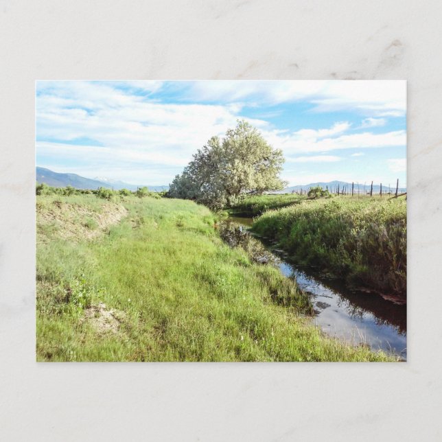 Carte postale Down By the Creek (Devant)