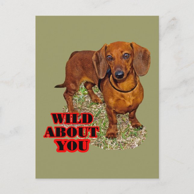 Carte Postale Doxi Lover (Devant)