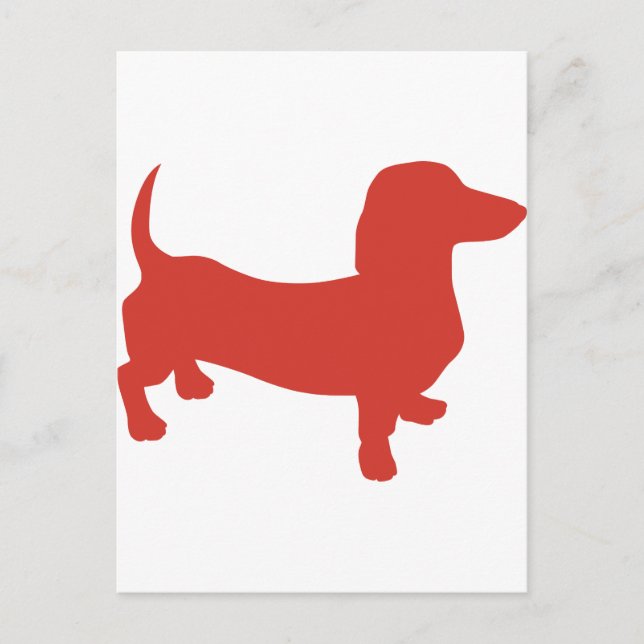 Carte Postale Doxie - Dacshund (Devant)