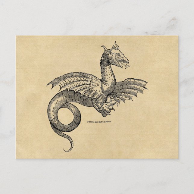 Carte postale Dragon Araigné Sepia (Devant)