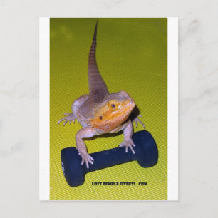 Carte Postale dragon barbu exercice avec haltère