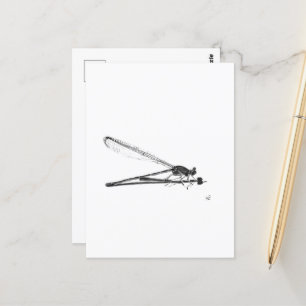 Carte Postale Dragon Fly
