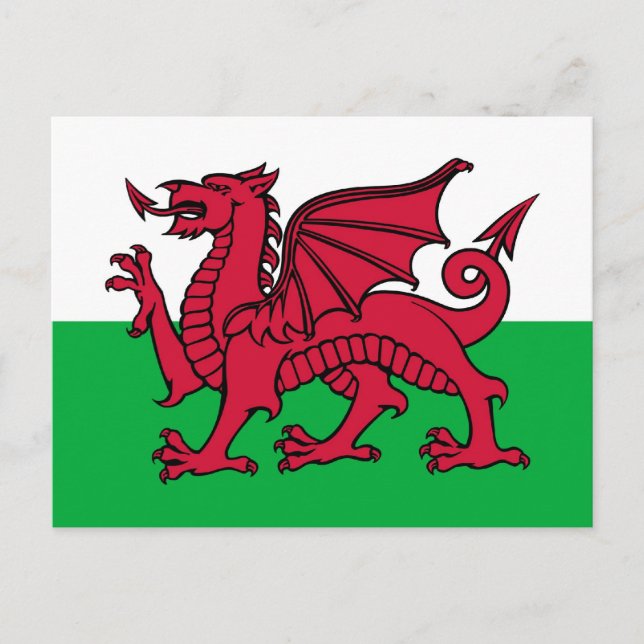 Carte Postale Dragon gallois (Devant)