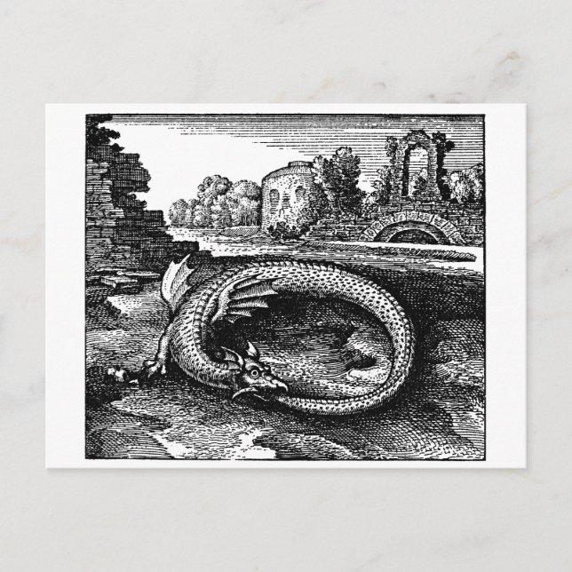 Carte Postale Dragon magique Ouroboros (Devant)