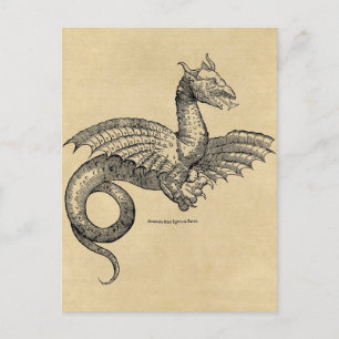 Carte postale Dragon Parchment