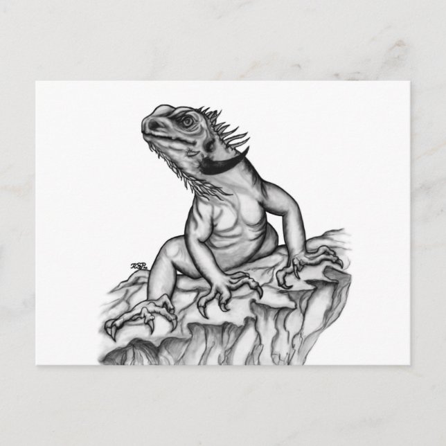 Carte Postale Dragon sur le rocher (Devant)