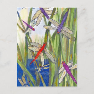 Carte Postale Dragonflies été
