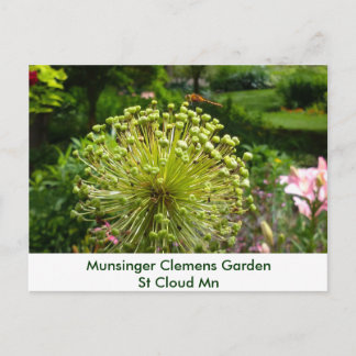 Carte Postale Dragonfly