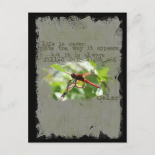 Carte postale Dragonfly