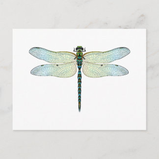 Carte Postale DragonFly