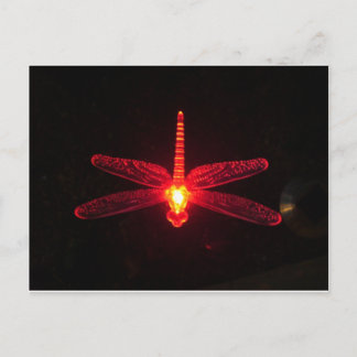 Carte Postale Dragonfly