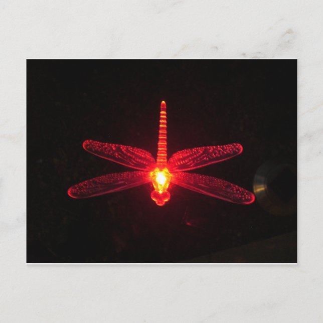 Carte Postale Dragonfly (Devant)