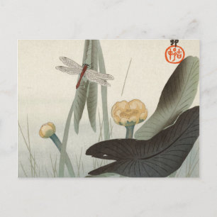 Carte Postale Dragonfly and Lotus, 1920 par Ohara Koson