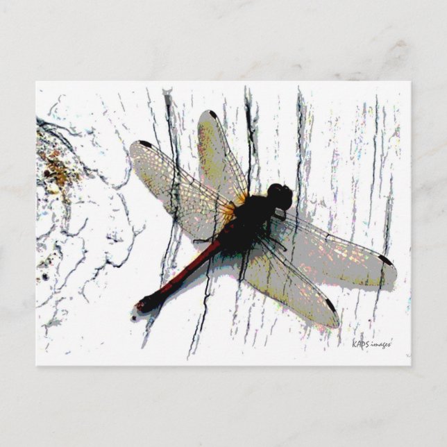 Carte postale Dragonfly Art (Devant)