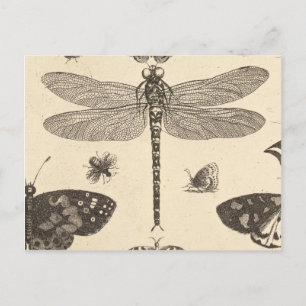 Carte Postale Dragonfly ( détail ) Art Vintage