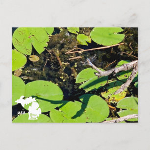 Carte Postale Dragonfly du Metropark Lake Erie avec logo