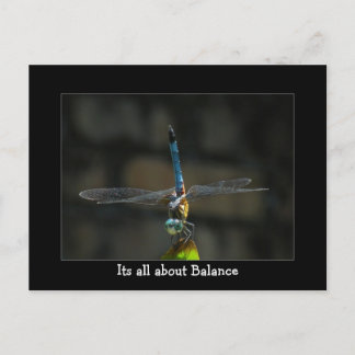 Carte Postale Dragonfly It's About Balance Postcard