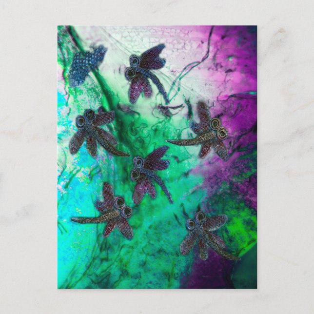 Carte Postale Dragonfly Magic (Devant)