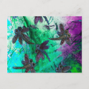 Carte Postale Dragonfly Magic
