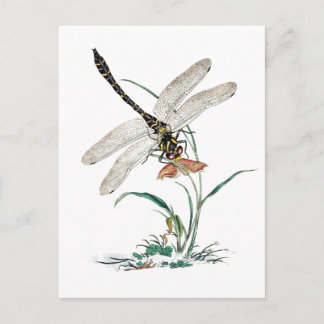Carte Postale Dragonfly Magic