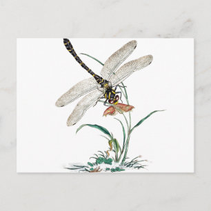 Carte Postale Dragonfly Magic