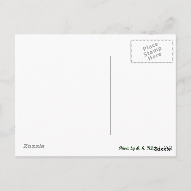 Carte Postale Dragonfly métallique (Dos)