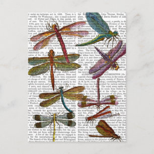 Carte Postale Dragonfly Print 4