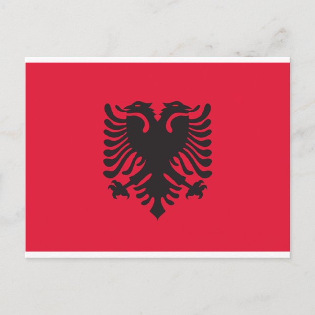 Carte Postale Drapeau Albanie (Devant)