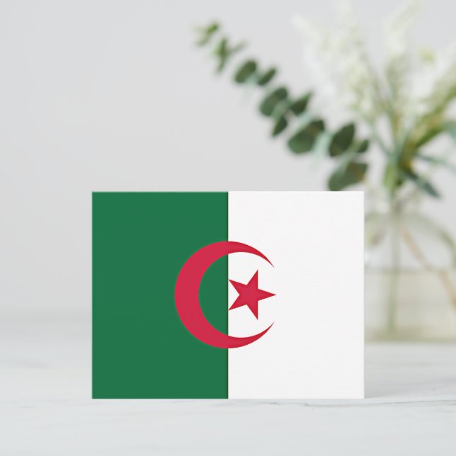 Carte Postale drapeau algérien (Debout devant)