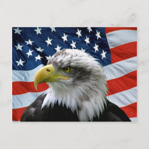Carte Postale Drapeau américain Bald Eagle