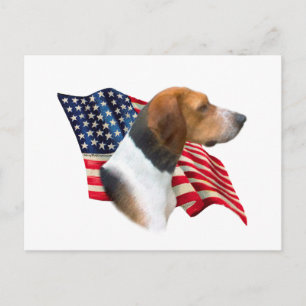 Carte Postale Drapeau américain Foxhound