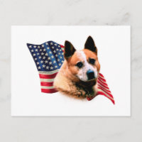 Drapeau australien de chien de bétail