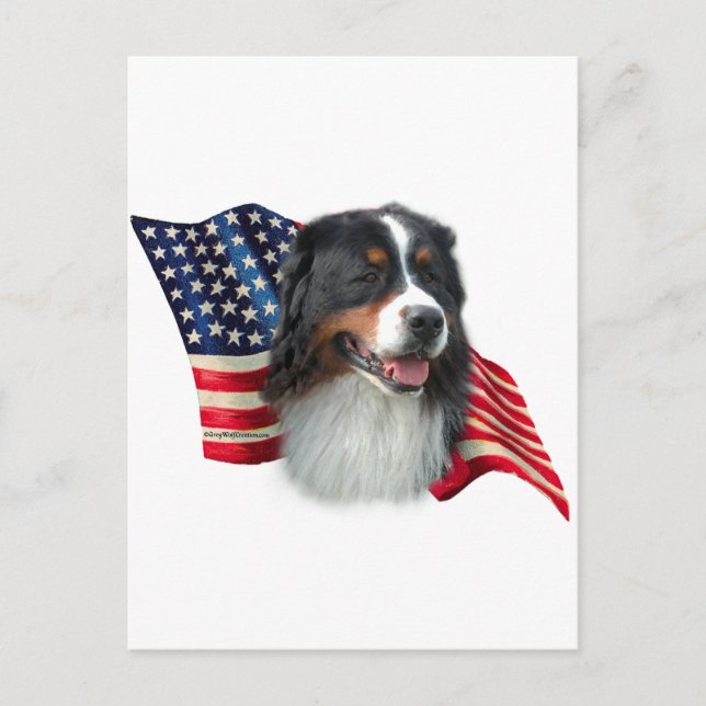 Carte Postale Drapeau bernois de chien de montagne (Devant)