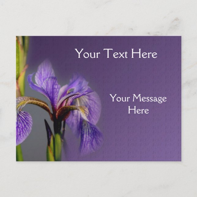 Carte Postale Drapeau bleu Iris Fleur (Devant)
