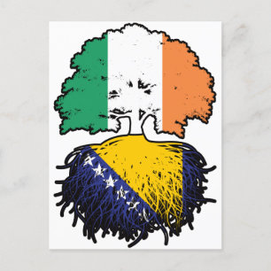 Carte Postale Drapeau bosniaque irlandais des racines d'arbre
