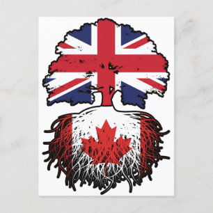 Carte Postale drapeau canadien britannique des racines de l'arbr