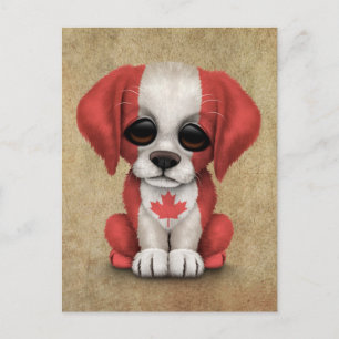 Carte Postale Drapeau canadien patriotique mignon Chien coquelic