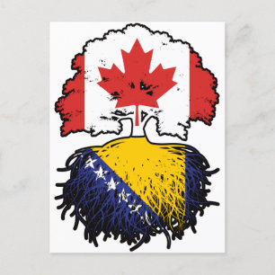 Carte Postale Drapeau de Bosnia Bosnian Canadian Canada