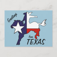 Drapeau de cow-boy de cheval du Texas