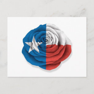 Carte Postale Drapeau de la rose du Texas sur fond blanc