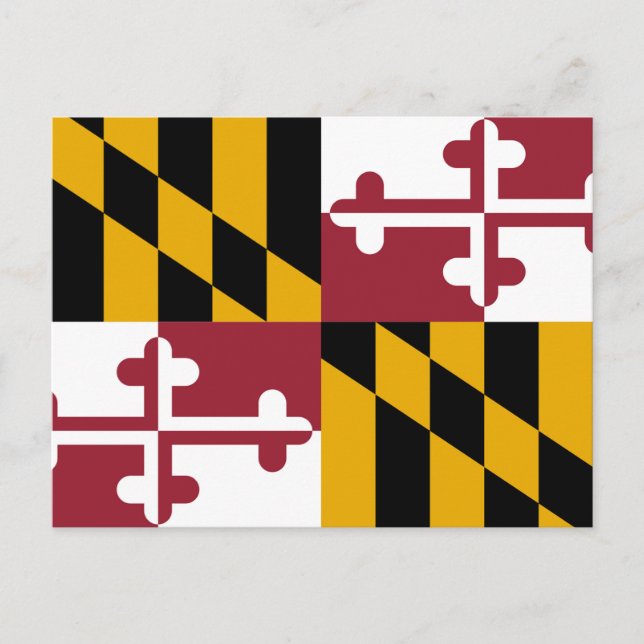 Carte Postale Drapeau de l'État du Maryland (Devant)